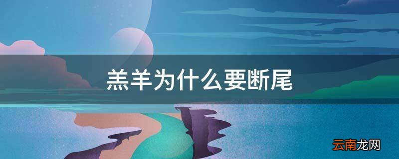 羔羊为什么要断尾