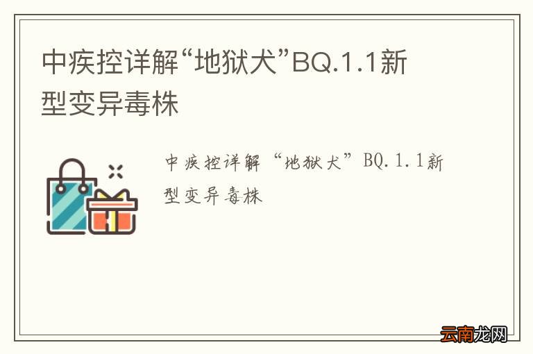 中疾控详解“地狱犬”BQ.1.1新型变异毒株
