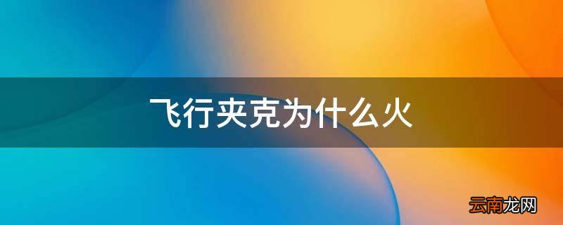 飞行夹克为什么火