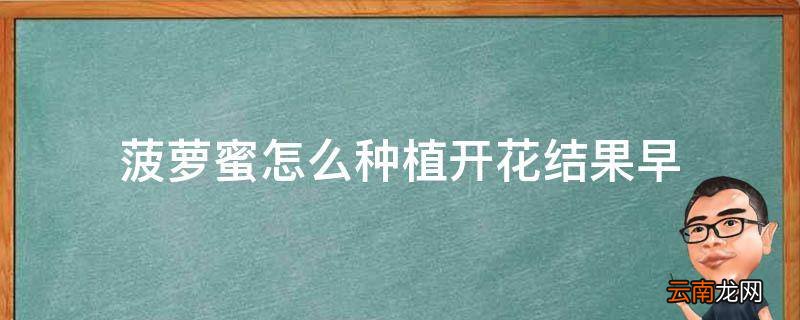 菠萝蜜怎么种植开花结果早