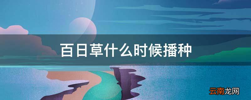 百日草什么时候播种