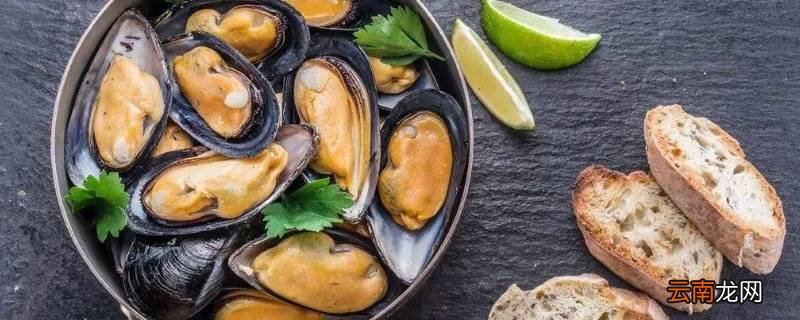 淡菜离开水多久会死