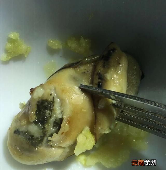烤生蚝怎么做