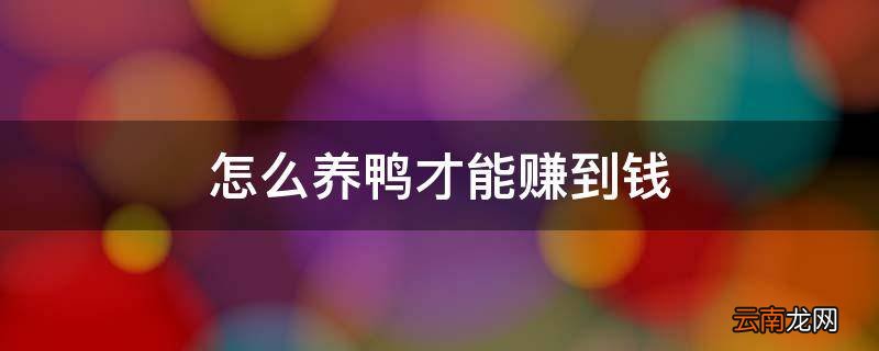 怎么养鸭才能赚到钱