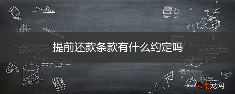 提前还款条款有什么约定吗