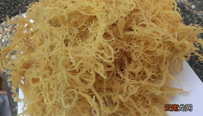 石花菜用开水还是凉水泡好 石花菜怎么泡