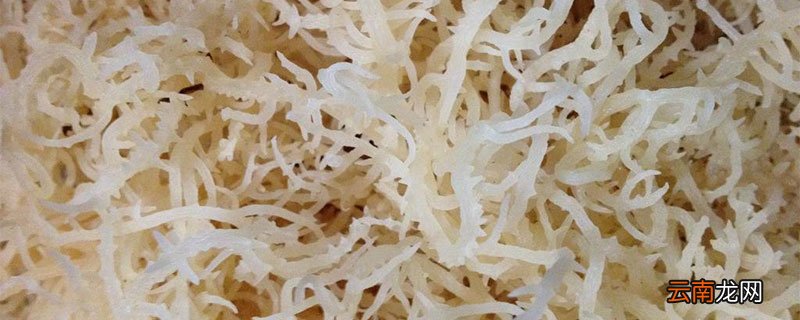 石花菜用开水还是凉水泡好 石花菜怎么泡