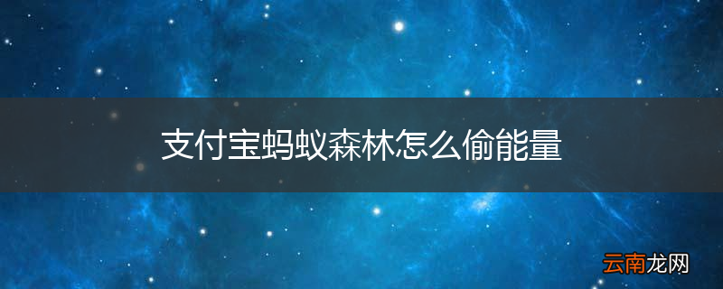 支付宝蚂蚁森林怎么偷能量