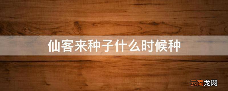 仙客来种子什么时候种