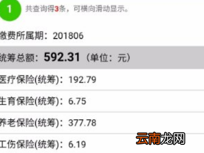 手机上怎么查自己的社保缴费情况