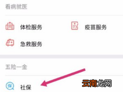 手机上怎么查自己的社保缴费情况