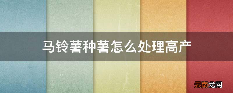 马铃薯种薯怎么处理高产
