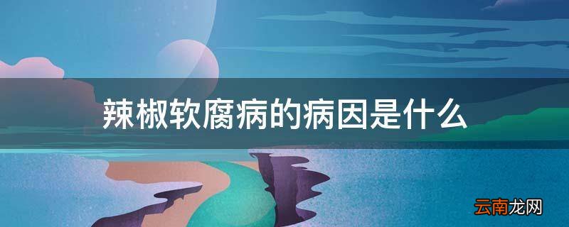 辣椒软腐病的病因是什么