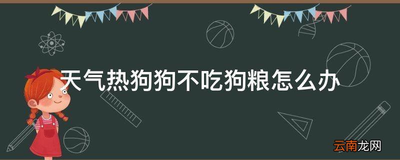 天气热狗狗不吃狗粮怎么办