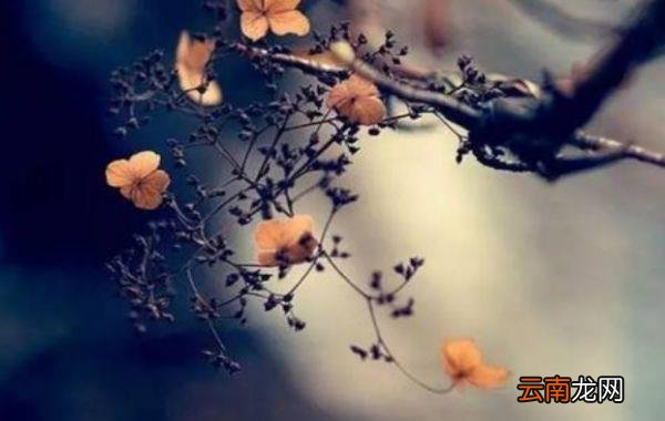 你是否嫁给了最初的那个人呢 你后悔过吗