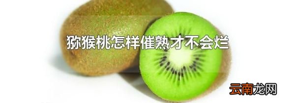猕猴桃怎样催熟才不会烂