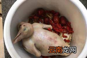 炖鸽子需要什么材料，炖鸽子汤放什么材料好吃最补身体
