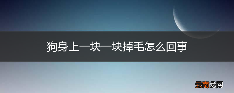 狗身上一块一块掉毛怎么回事