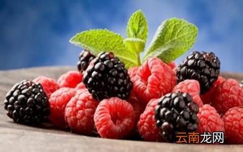 桑椹如何选购 帮你挑选优质桑椹