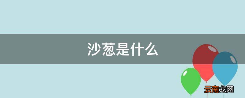 沙葱是什么