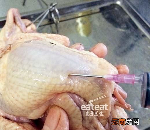 如何制作烤鸽子,鸽子怎么烤好吃