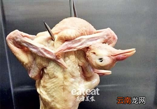 如何制作烤鸽子,鸽子怎么烤好吃