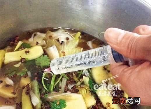 如何制作烤鸽子,鸽子怎么烤好吃