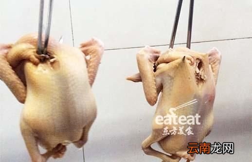 如何制作烤鸽子,鸽子怎么烤好吃