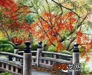 小桥流水，时光静好