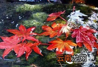 小桥流水，时光静好