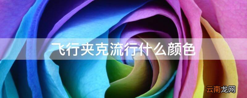 飞行夹克流行什么颜色