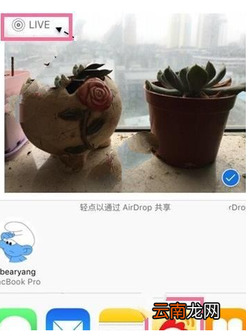微博中发livephoto具体操作方法