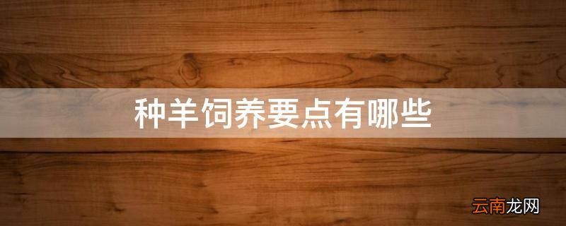 种羊饲养要点有哪些