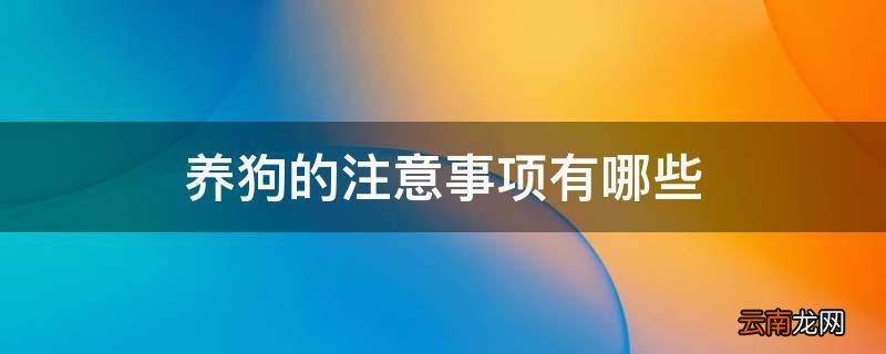 养狗的注意事项有哪些