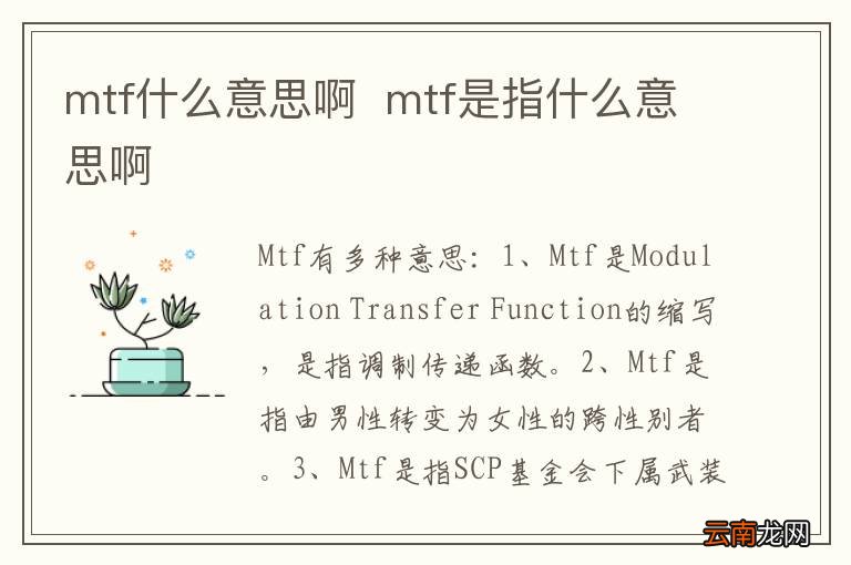 mtf什么意思啊mtf是指什么意思啊