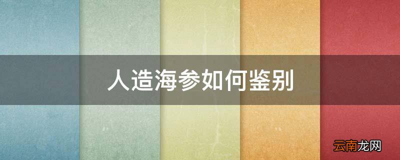 人造海参如何鉴别