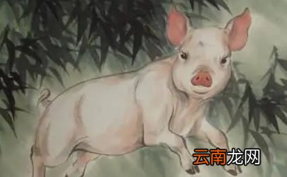 2022年腊月出生的宝宝怎么算属相
