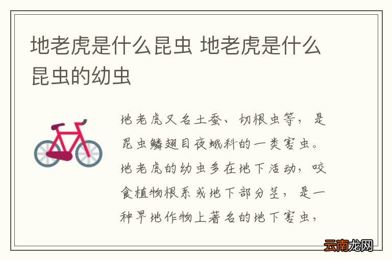 地老虎是什么昆虫 地老虎是什么昆虫的幼虫