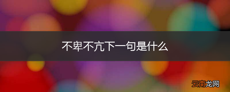 不卑不亢下一句是什么
