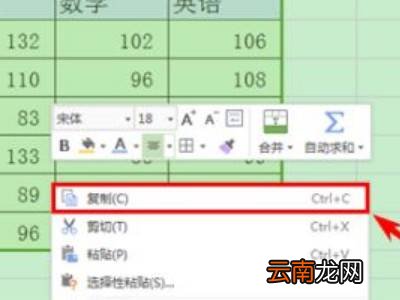 wps怎么复制表格保持原有格式及内容