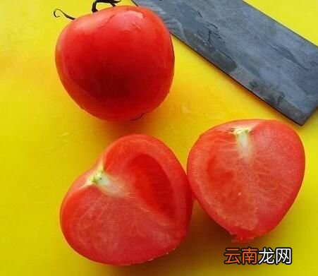 新疆产量最大的蔬菜是什么菜