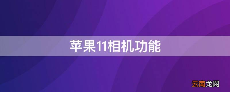 iPhone11相机功能 iphone11相机功能介绍