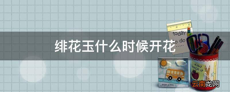 绯花玉什么时候开花