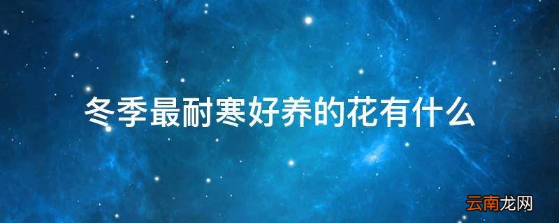 冬季最耐寒好养的花有什么