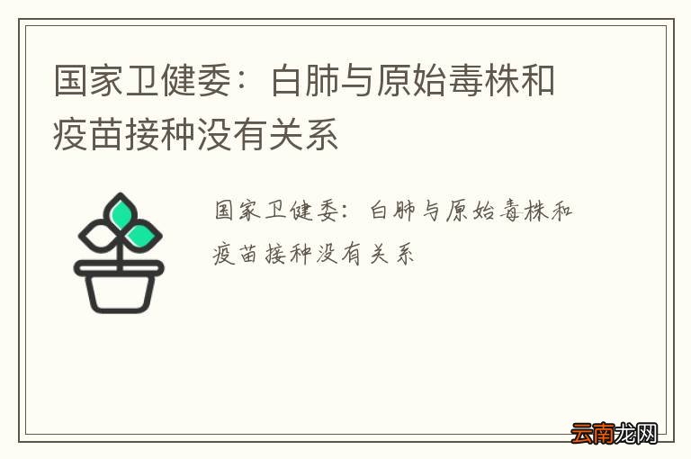 国家卫健委：白肺与原始毒株和疫苗接种没有关系
