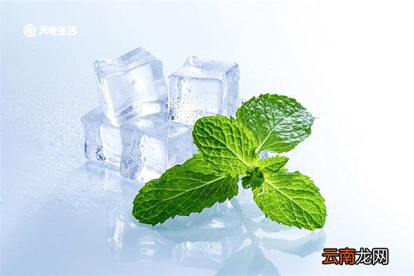 薄荷水的功效与禁忌