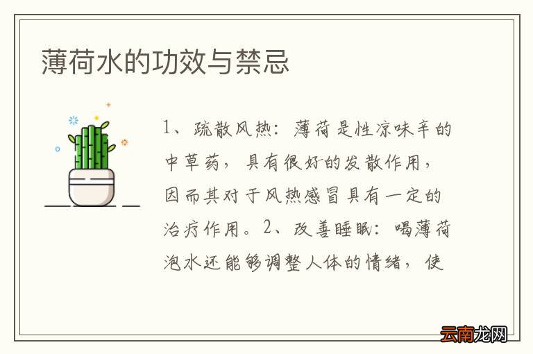 薄荷水的功效与禁忌