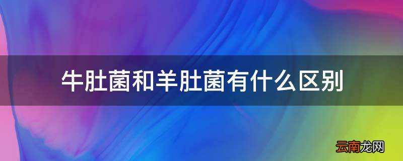 牛肚菌和羊肚菌有什么区别