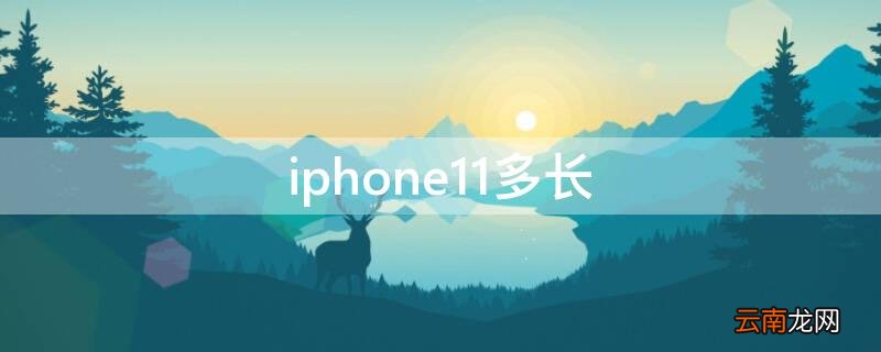 iPhone11多长 iphone11多长多少厘米