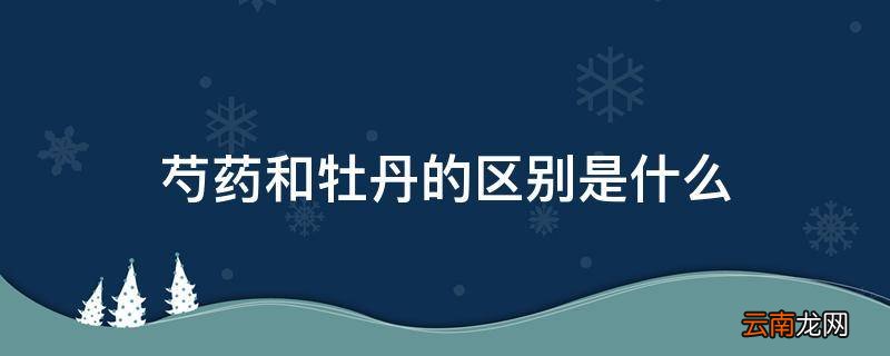 芍药和牡丹的区别是什么